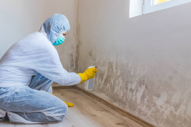 Mold Remediation specialist working in Oceanport